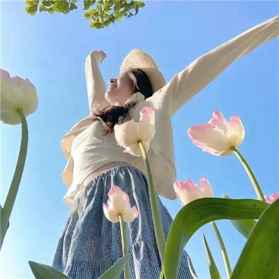 藤本树