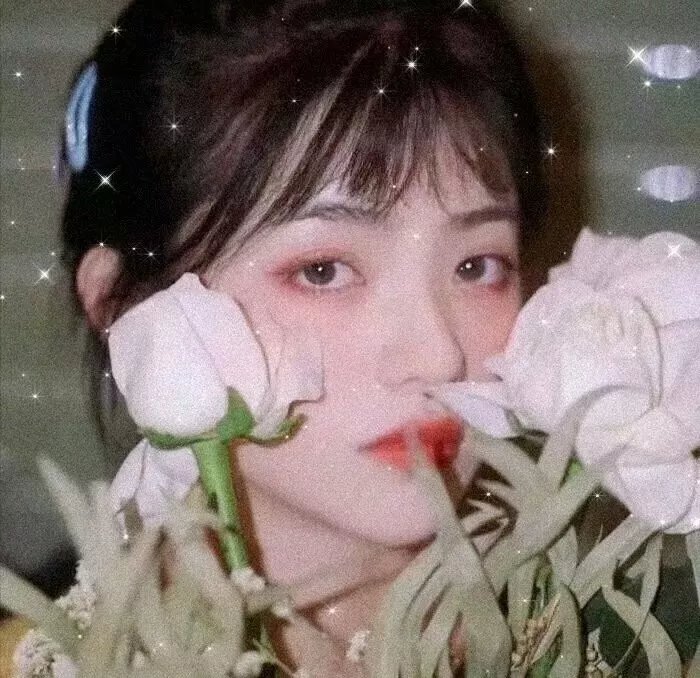 圣玛丽矿镇谜案