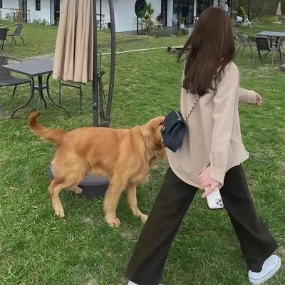 桑格豪森的渴望 海报